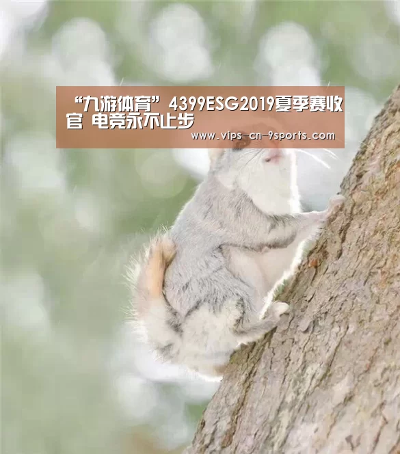九游体育