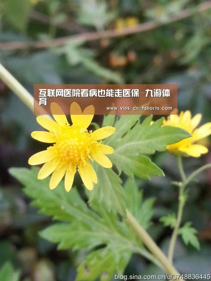 九游体育