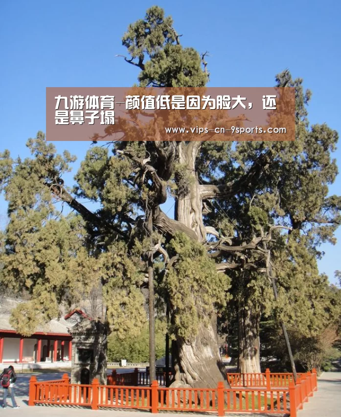 九游体育-颜值低是因为脸大,还是鼻子塌(图4) 九游体育