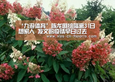 九游体育